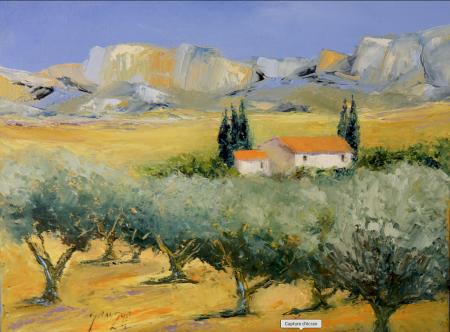 L'oliveraie dans les Alpilles